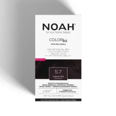 Kremowa farba do włosów fioletowo-brązowa Noah 140ml