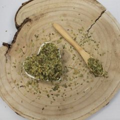 Mate-Strauch - yerba mate - geschnittenes Blatt - Ilex paraguariensis Emerosa
