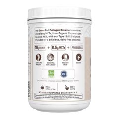 Kollagen-Creamer-Pulver Schokolade Garden of Life 342g