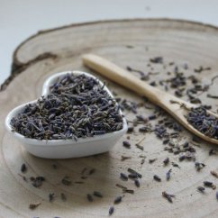 Lawenda Alpejska - Lavandula Lawenda Alpejska - Lavandula