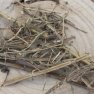 Szałwia muszkatołowa Plasterki - Salvia sclarea