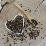 Ostropest plamisty - silybi mariani fructus