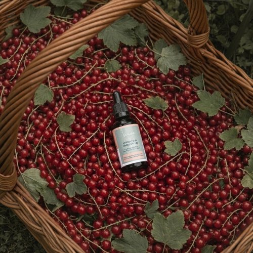 Ríbezľový olej Venoc 50ml