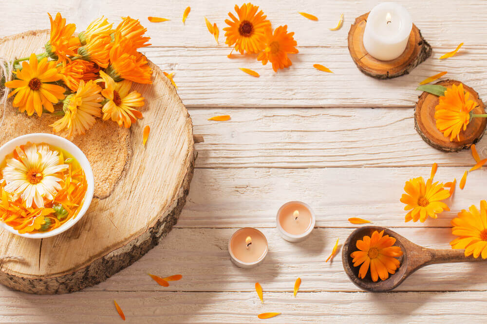 Calendula – a piece of nature for our health