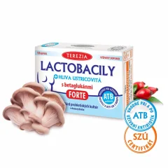 Lactobacily+hliva ustricová s betaglukánmi FORTE -TEREZIA-10ks Lactobacily+hliva ustricová s betaglukánmi FORTE -TEREZIA-10ks