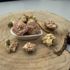 Róża biała - kwiat -  Rosa alba - Flos rosae albae Emerosa