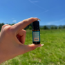 Esenciální olej Eukalyptus Venoc 10ml