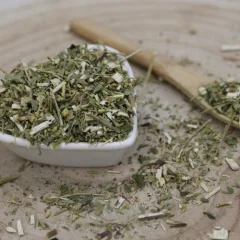 Solidago canadensis - Herba solidaginis canadensae Solidago canadensis - Herba solidaginis canadensae
