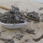 Sage - whole leaf - Salvia officinalis - Folium salviae Emerosa