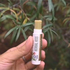 Lippenbalsam Kräuterkuss Wooden Spoon 4,3ml