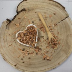 Kora wierzby cięta - Salicis cortex cs.