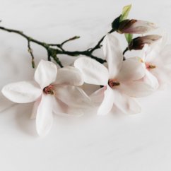 Krem pod prysznic Magnolia AROMA NATURAL 400 ml