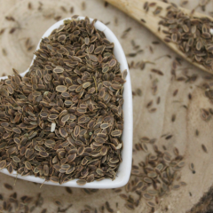 Koper - całe nasiona - Anethum graveolens - Semen anethi
