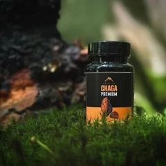 Chaga Hrotlife 60 kapsułek