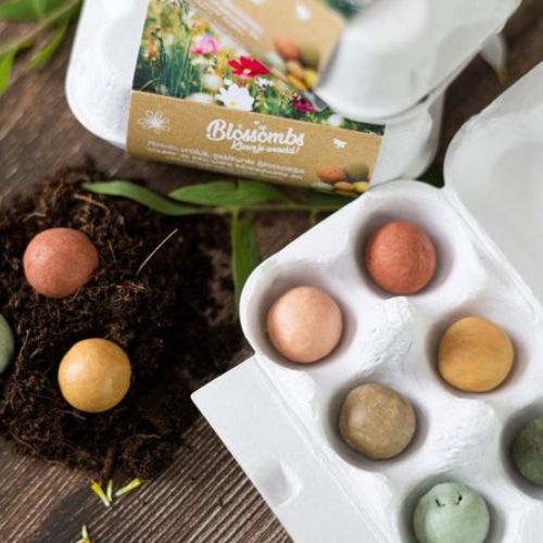 Semínkové bomby - dárkový box na vajíčka Kytice Blossombs 6ks