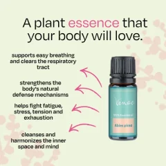 Spruce Venoc Essential Oil 10 ml