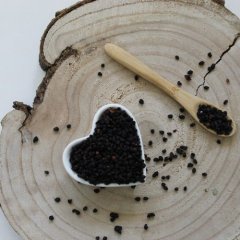 Schwarzer Holunder - Frucht - Sambucus nigra - Fructus sambuci Emerosa