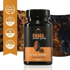 Chaga Hrotlife 60 capsules