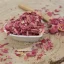 Paeonia officinalis
