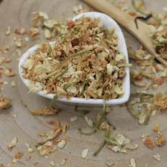 Jasmín květ celý - Jasminum