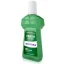 Mouthwash with menthol against tooth decay Astera 300ml