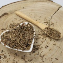 Kozłek lekarski cięty - Valeriana officinalis