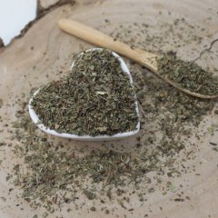 Bazylia siekana - Ocimum basilicum