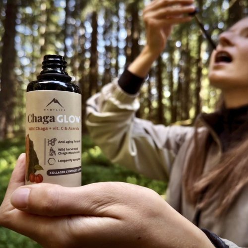 Chagaglow Tinktur mit Vitamin C, B6 und B12 Hrotlife 60ml