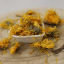 nagietek lekarski - cały kwiat bio - Calendula officinalis - Flos calendulae Emerosa