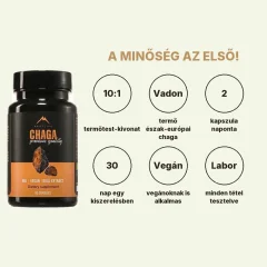 Chaga Hrotlife 60 kapszula