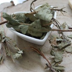 Škumpa vlasatá - vňať narezaná - Cotinus coggygria - Herba Emerosa