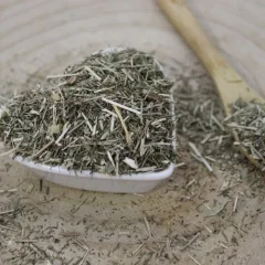 Echtes Labkraut - geschnittenes Kraut - Galium verum - Herba galii veri Emerosa