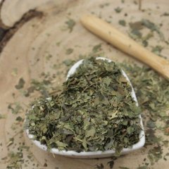 Liść bluszczu ciętego - Hedera helix cs.
