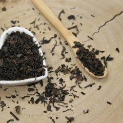 Chinesische Teepflanze, Assam Schwarztee - Thea sinensis Emerosa