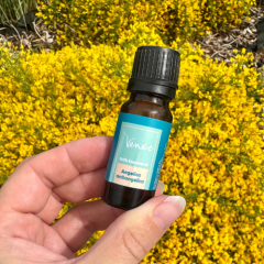 Esenciálny olej Angelika Venoc 10ml