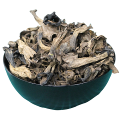 Trompetenpfifferling - Craterellus cornucopioides Emerosa