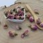 Ruža Damascena púčiky - Rosa Damascena