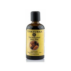 TINKTURKA - Chaga - double extract of Panakeia 100ml