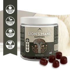 Gummi-Bonbons mit Lion's Mane-Extrakt und Himbeergeschmack Hrotlife 60 Stk.