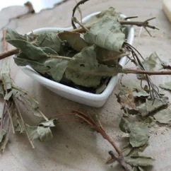 Škumpa vlasatá - vňať narezaná - Cotinus coggygria - Herba Emerosa