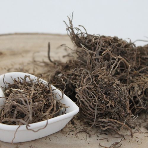 Kozłek lekarski - Valeriana officinalis