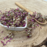 Ďatelina lúčna - kvet narezaný - Trifolium pratense - Flos trifolii rubri