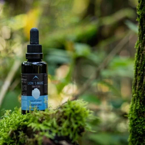 Nalewka z lwiej grzywy Hrotlife 50ml