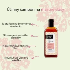 Šampón na kontrolu mazu pre mastné vlasy Nuggela & Sulé 250ml