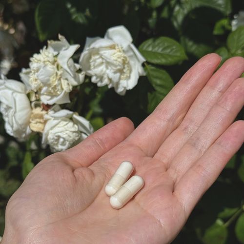 Tremella s vitamínem C Hrotlife 90 kapslí