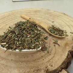 Lesná jahoda - list narezaný - Fragaria vesca - Folium fragariae Emerosa