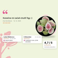 Figy lyofilizované polky Emerosa, hodnotenia zákazníkov Figy lyofilizované polky Emerosa, hodnotenia zákazníkov
