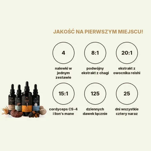 Starter pack nalewek - Chaga + Reishi + Cordyceps + Lion's mane nalewka 100ml Hrotlife
