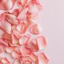 Mydło glicerynowe Kwiat róży Biofresh 40g