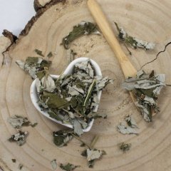 Ostružiník maliník, malinové listy - Rubi idaei folium
